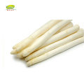 Bulk wholesale distribute IQF Frozen asparagus